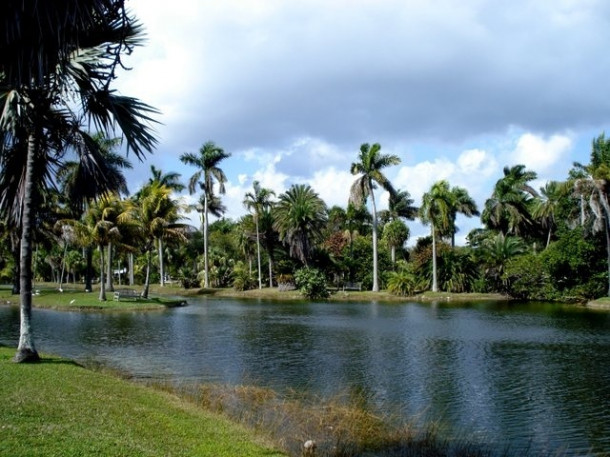 Chocolate Festival at Fairchild Tropical Botanic Gardens.