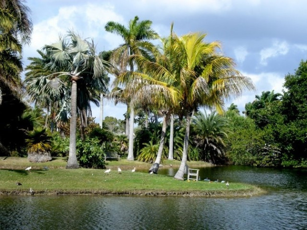 Chocolate Festival at Fairchild Tropical Botanic Gardens.