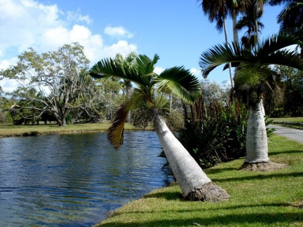 Chocolate Festival at Fairchild Tropical Botanic Gardens.