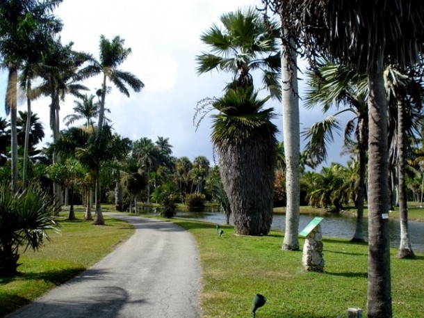 Chocolate Festival at Fairchild Tropical Botanic Gardens.