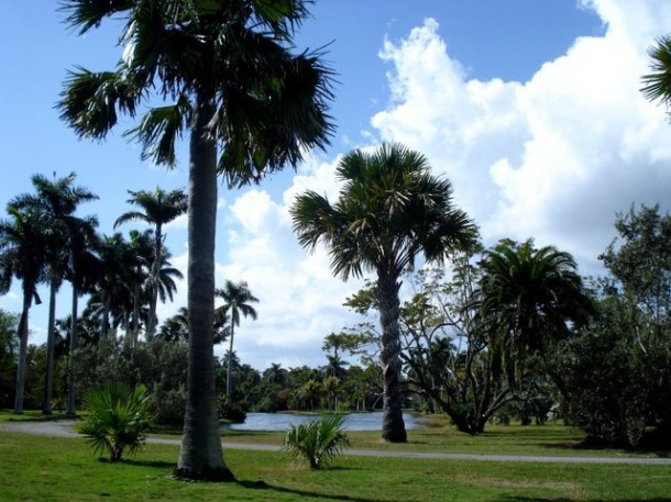 Chocolate Festival at Fairchild Tropical Botanic Gardens.