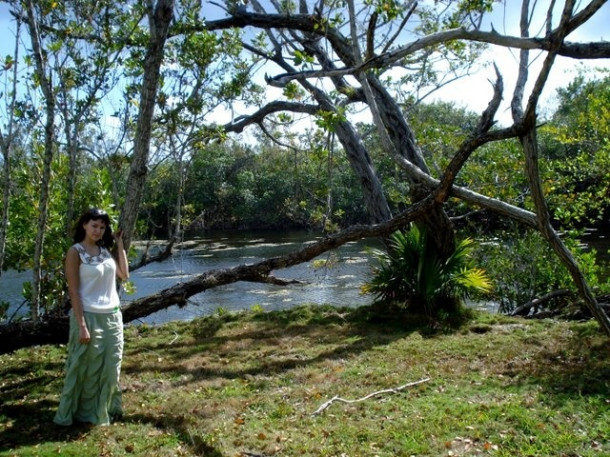 Chocolate Festival at Fairchild Tropical Botanic Gardens.