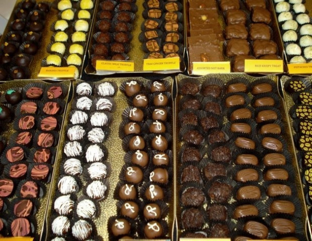 Chocolate Festival at Fairchild Tropical Botanic Gardens.