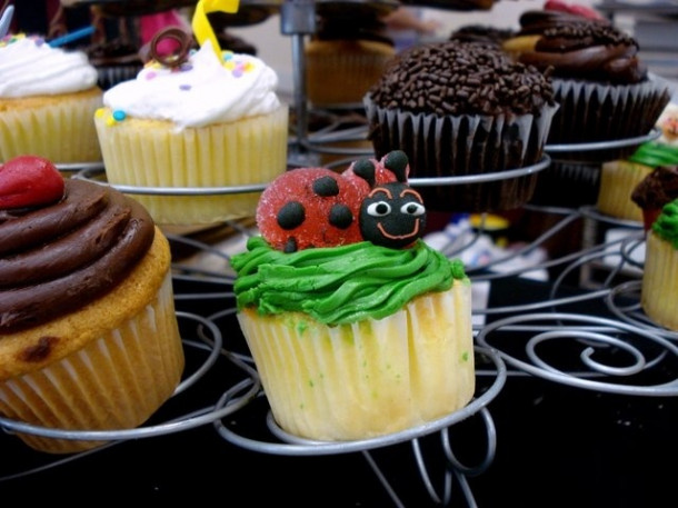 Chocolate Festival at Fairchild Tropical Botanic Gardens.