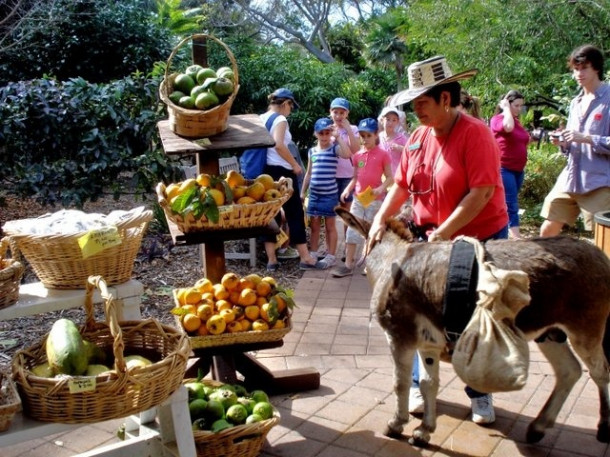 Chocolate Festival at Fairchild Tropical Botanic Gardens.