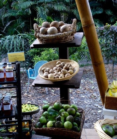 Chocolate Festival at Fairchild Tropical Botanic Gardens.