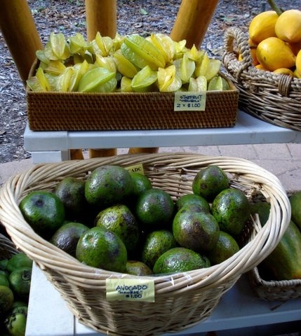 Chocolate Festival at Fairchild Tropical Botanic Gardens.