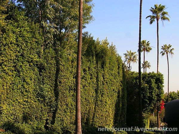 Los Angeles. Magic Castle. Mulholland Drive. Hollywood Sign. Sunset Strip. Beverly Hills, Bel Air.