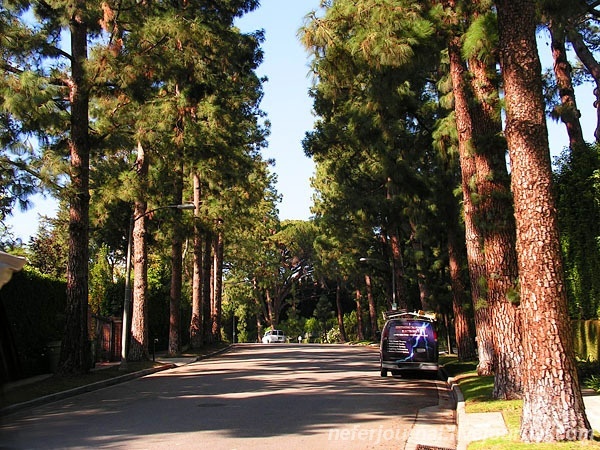 Los Angeles. Magic Castle. Mulholland Drive. Hollywood Sign. Sunset Strip. Beverly Hills, Bel Air.