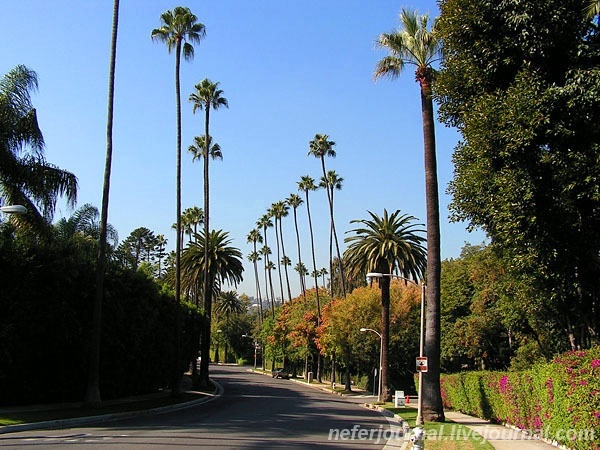 Los Angeles. Magic Castle. Mulholland Drive. Hollywood Sign. Sunset Strip. Beverly Hills, Bel Air.