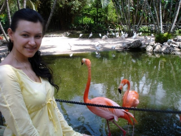 Flamingo Gardens, Davie, FL