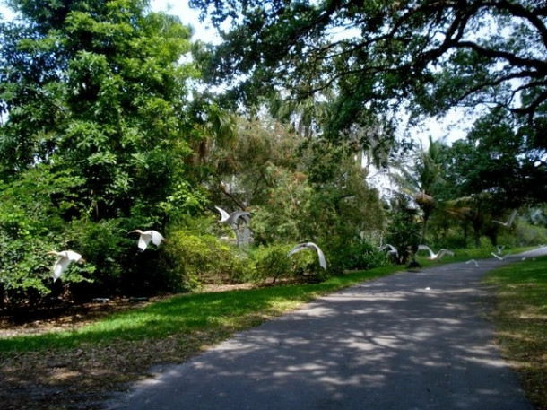 Flamingo Gardens, Davie, FL