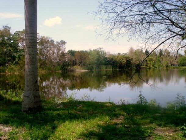 Flamingo Gardens, Davie, FL