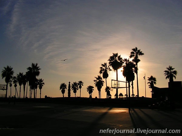 Los Angeles. Venice Beach. Часть 1.