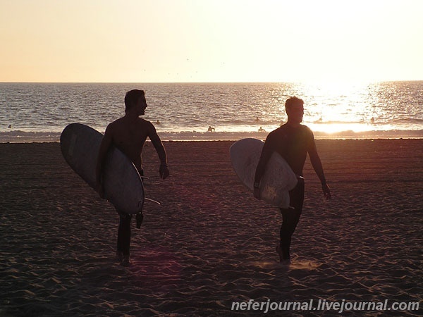 Los Angeles. Venice Beach. Часть 1.