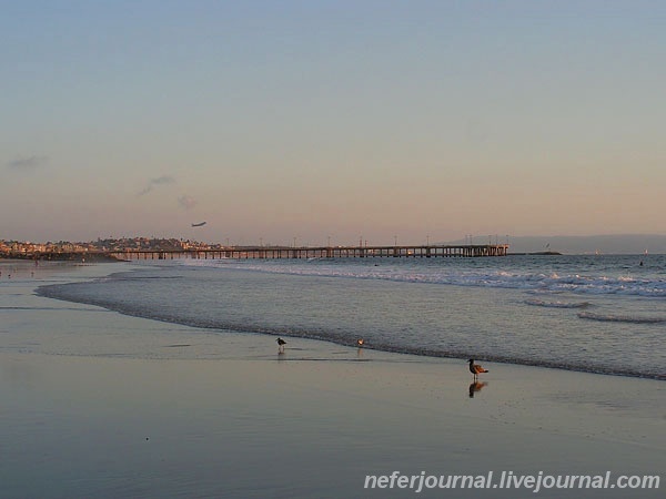 Los Angeles. Venice Beach. Часть 1.