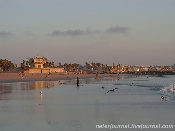 Los Angeles. Venice Beach. Часть 1.