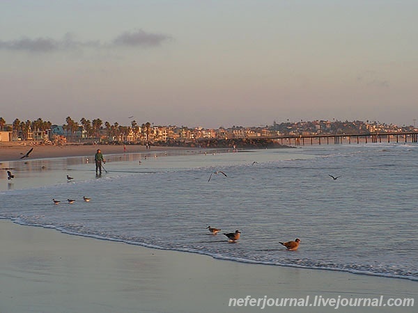 Los Angeles. Venice Beach. Часть 1.