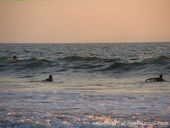 Los Angeles. Venice Beach. Часть 2.