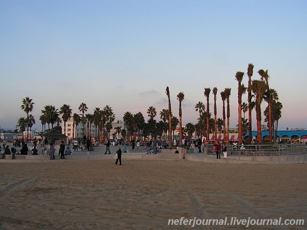 Los Angeles. Venice Beach. Часть 2.