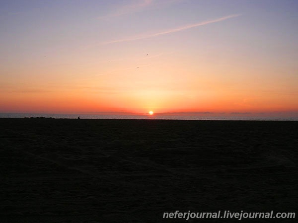 Los Angeles. Venice Beach. Часть 2.