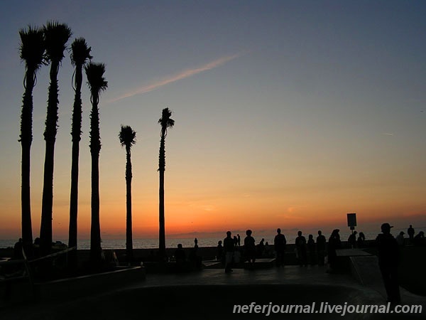 Los Angeles. Venice Beach. Часть 2.