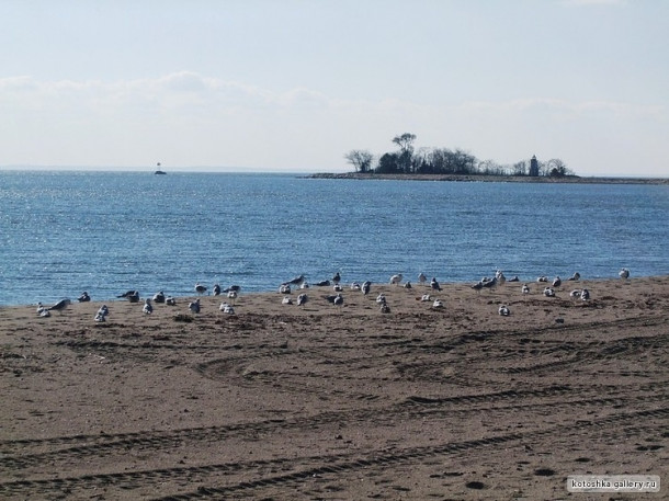 Seaside Park,Бриджпорт, КТ. Парк у моря:)