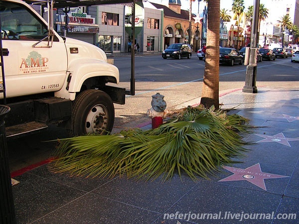 Los Angeles. Hollywood, Beverly Hills. Где поесть и другие интересные точки.