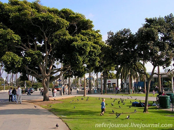 Los Angeles. Santa Monica.