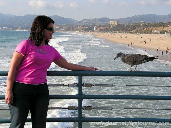 Los Angeles. Santa Monica.