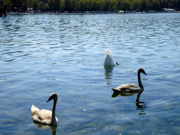 Lago di Bracciano