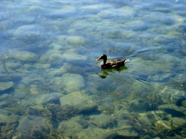 Lago di Bracciano