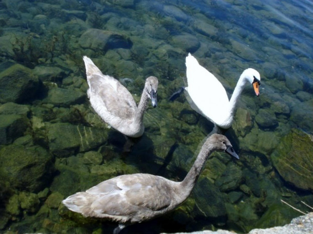 Lago di Bracciano