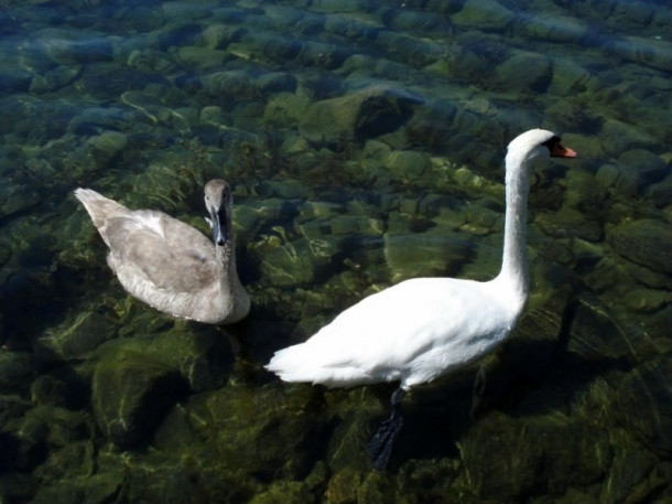 Lago di Bracciano