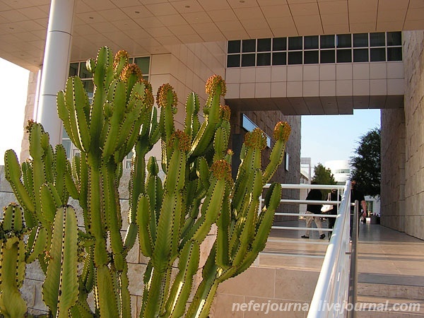 Los Angeles. Getty Center. Парк.