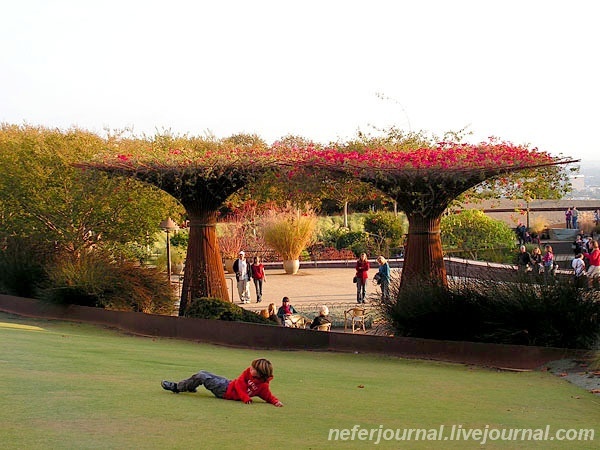 Los Angeles. Getty Center. Парк.