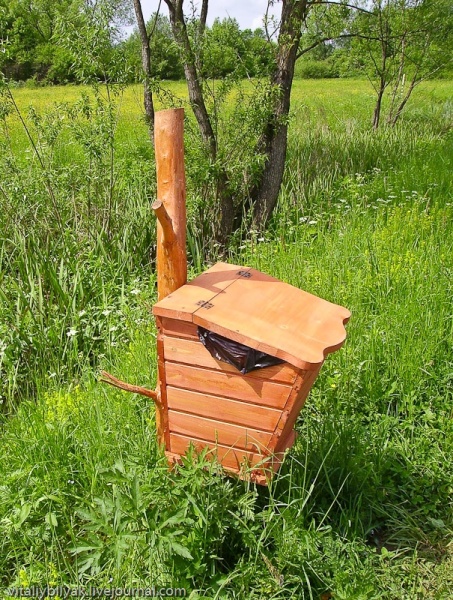 Пьянящий аромат в долине нарциссов, Закарпатье, Хуст