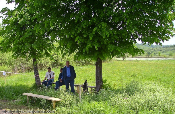 Пьянящий аромат в долине нарциссов, Закарпатье, Хуст