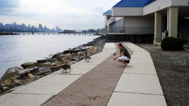 Edgewater, NJ - Нью-Йорк издалека