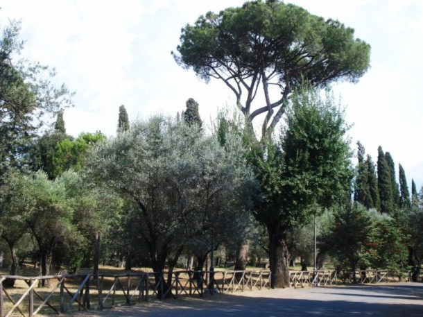 Villa Adriana, Tivoli