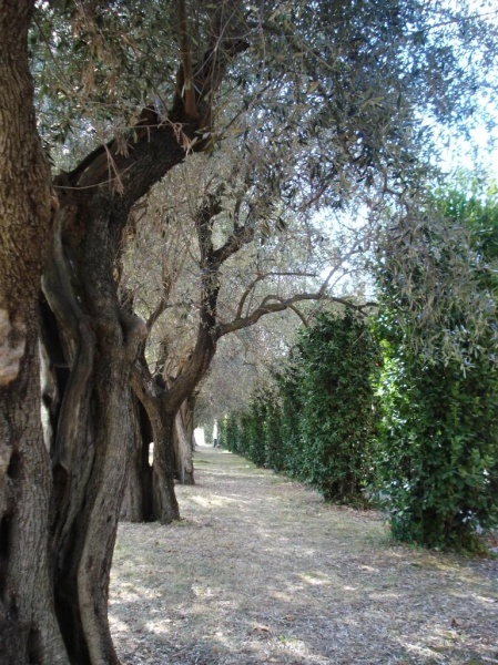 Villa Adriana, Tivoli