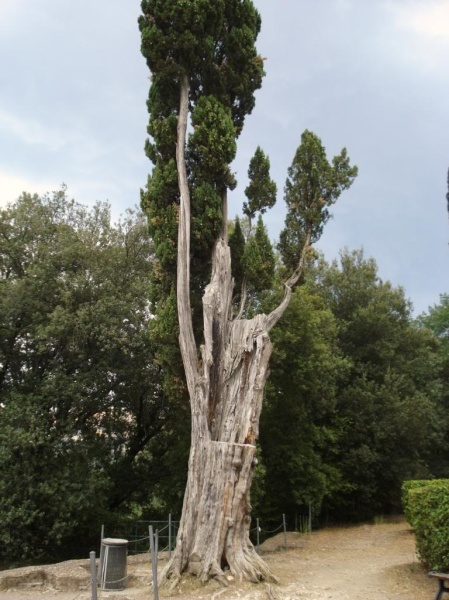 Villa Adriana, Tivoli