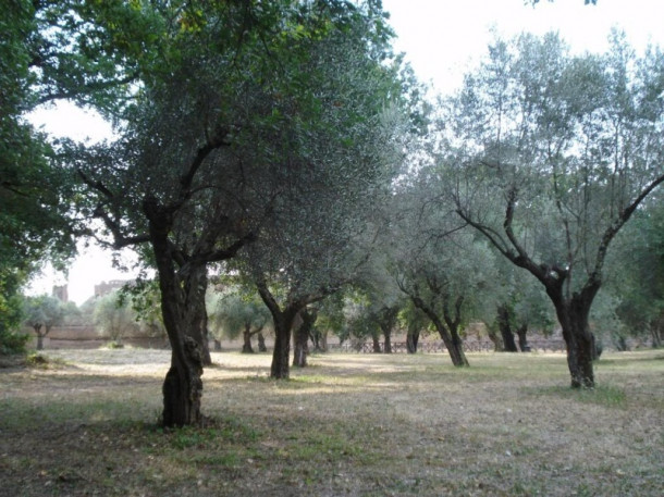 Villa Adriana, Tivoli