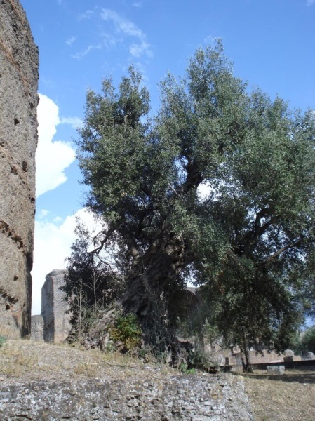 Villa Adriana, Tivoli