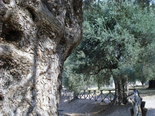 Villa Adriana, Tivoli