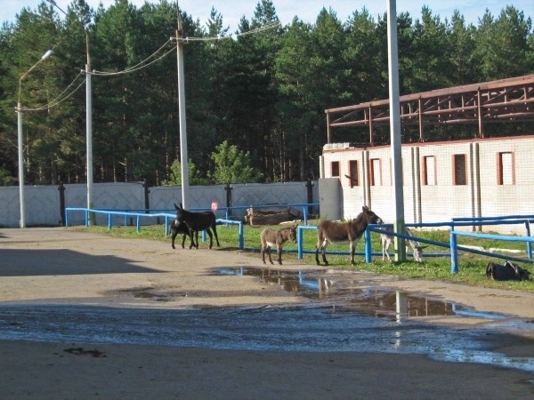 Набережные Челны