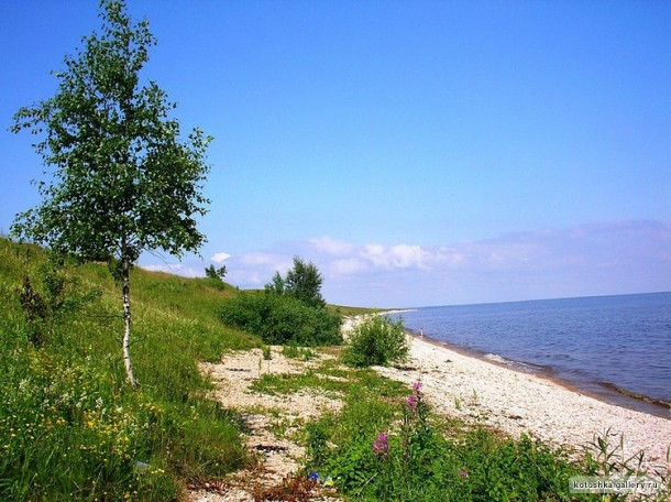 Селение Коростынь. Новгородская область. Россия.