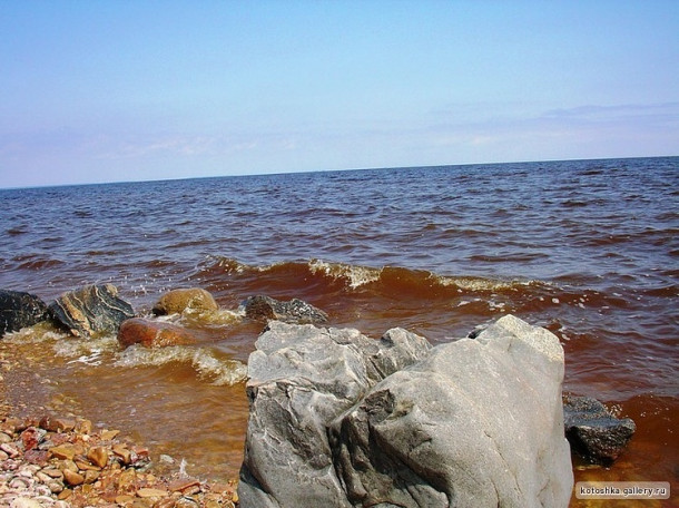 Селение Коростынь. Новгородская область. Россия.