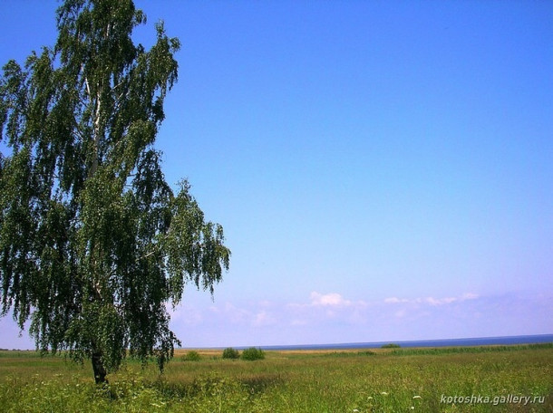 Селение Коростынь. Новгородская область. Россия.