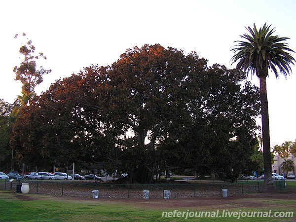 San Diego. Balboa Park.